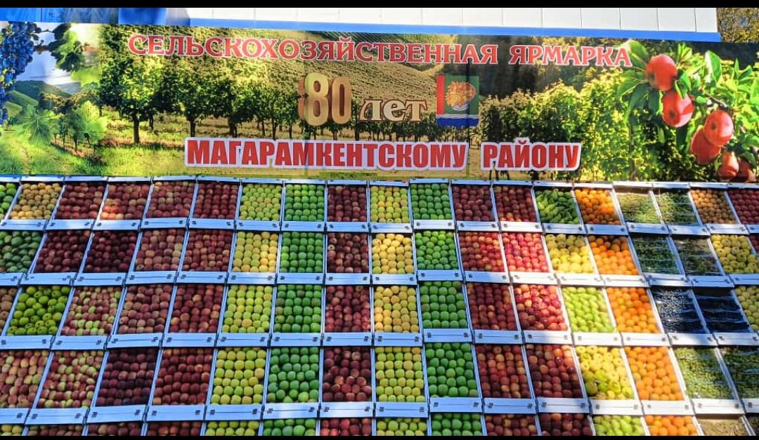 Нашему любимому Магарамкентскому району — 80 лет…Добра и процветания Тебе!!!